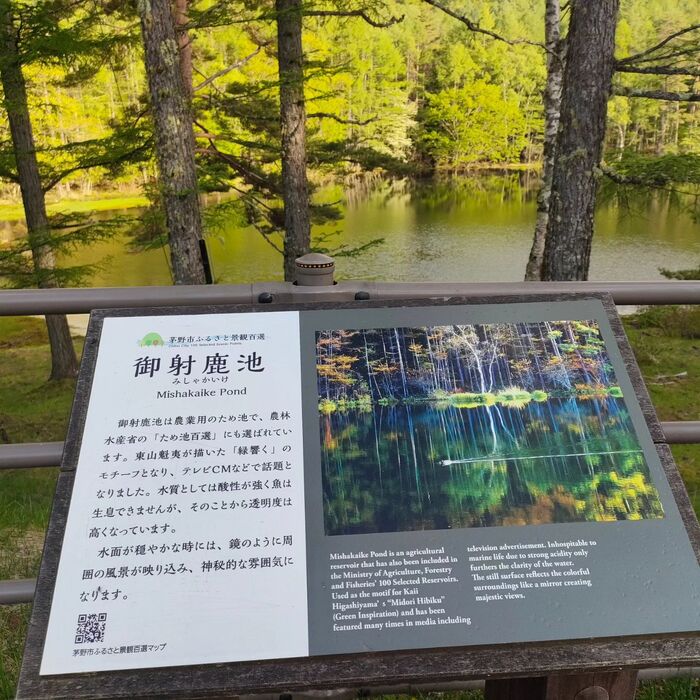 画像272