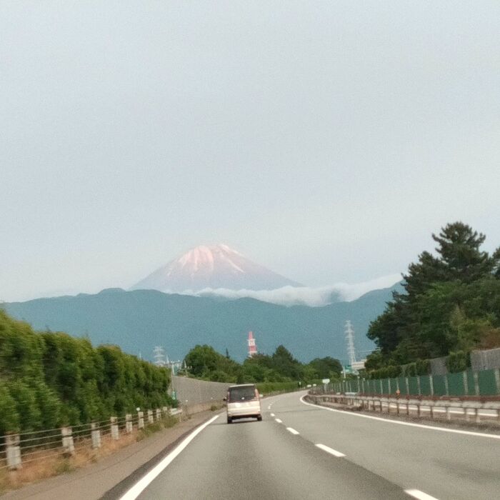 画像277